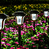 Bright garden lights with a very pretty pattern